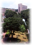 ���v���K Data Mining