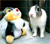 �҂��ƃ���